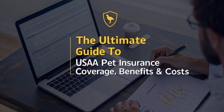 Powerful Guide to Hiring an Auto Insurance Claim Attorney for Maximum Compensation