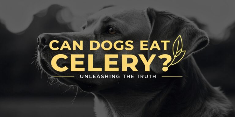 Can Dogs Eat Celery? Unleashing the Truth About This Crunchy Snack