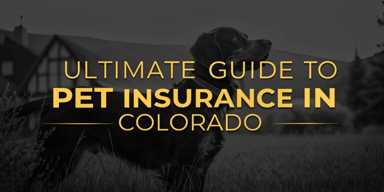 Ultimate Guide to Pet Insurance in Colorado: Secure Your Pet's Future Today